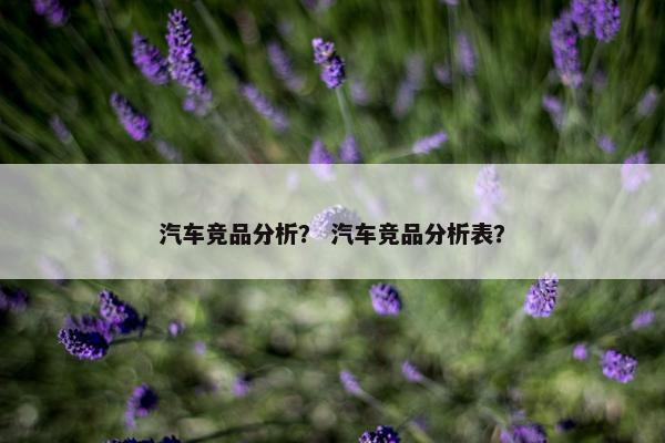 汽车竞品分析？ 汽车竞品分析表？