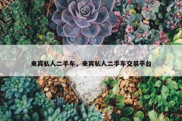 来宾私人二手车，来宾私人二手车交易平台