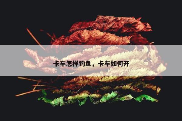 卡车怎样钓鱼，卡车如何开