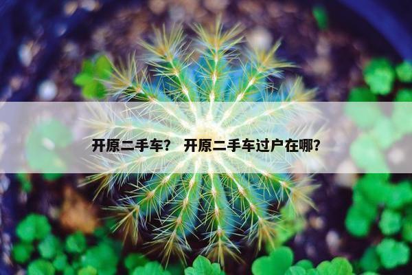 开原二手车？ 开原二手车过户在哪？