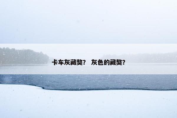 卡车灰藏獒？ 灰色的藏獒？