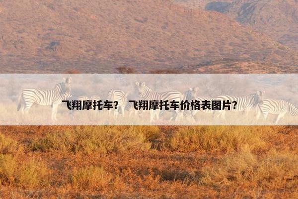 飞翔摩托车？ 飞翔摩托车价格表图片？