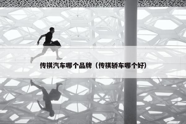 传祺汽车哪个品牌（传祺轿车哪个好）