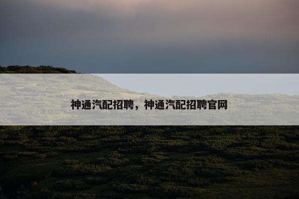 神通汽配招聘，神通汽配招聘官网