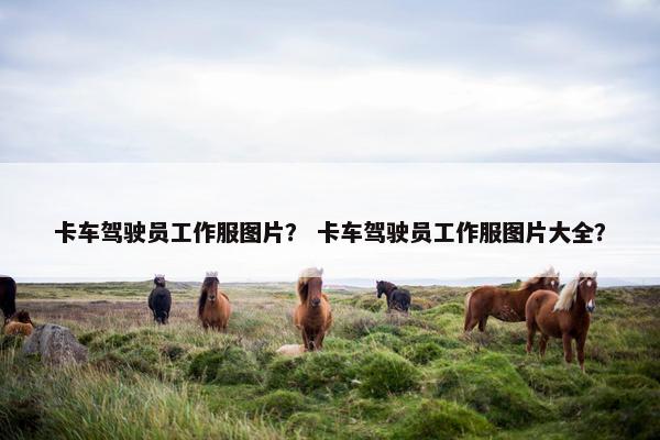卡车驾驶员工作服图片？ 卡车驾驶员工作服图片大全？