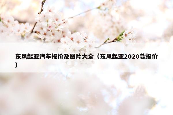 东风起亚汽车报价及图片大全（东风起亚2020款报价）