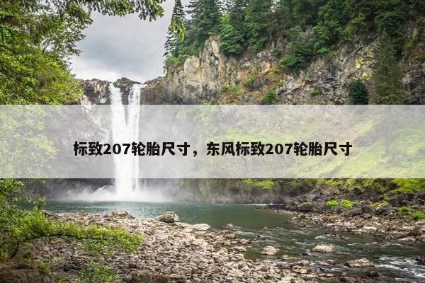 标致207轮胎尺寸，东风标致207轮胎尺寸