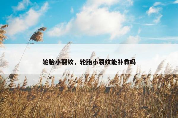 轮胎小裂纹，轮胎小裂纹能补救吗