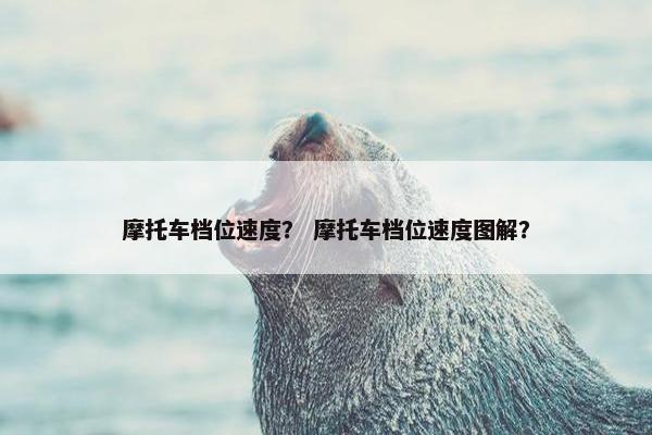 摩托车档位速度？ 摩托车档位速度图解？