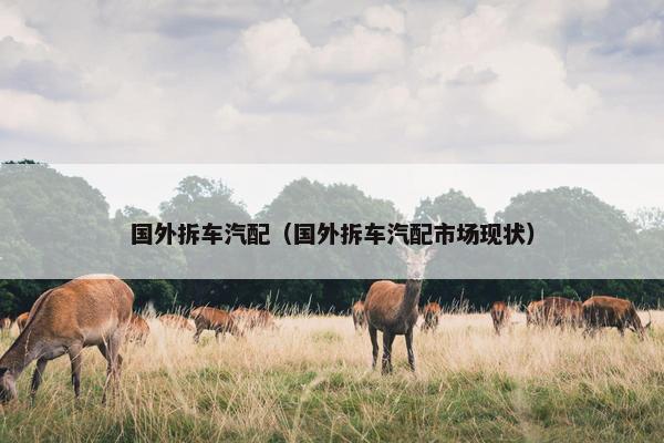 国外拆车汽配（国外拆车汽配市场现状）