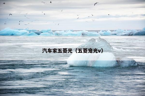 汽车家五菱光（五菱宠光v）