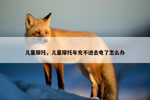 儿童摩托，儿童摩托车充不进去电了怎么办