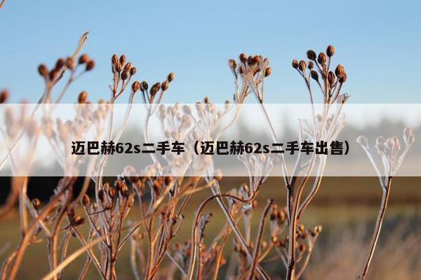 迈巴赫62s二手车（迈巴赫62s二手车出售）