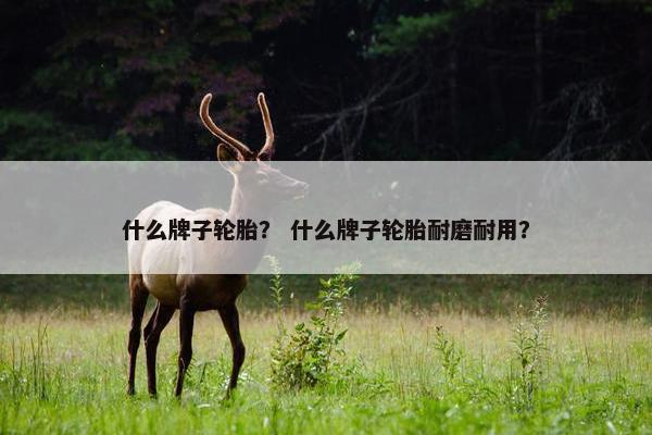 什么牌子轮胎？ 什么牌子轮胎耐磨耐用？
