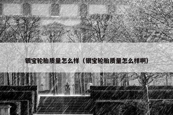 银宝轮胎质量怎么样（银宝轮胎质量怎么样啊）