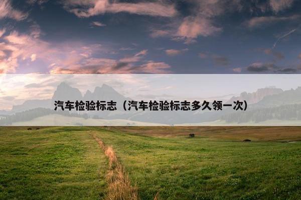 汽车检验标志（汽车检验标志多久领一次）