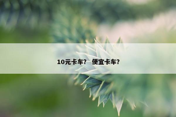 10元卡车？ 便宜卡车？
