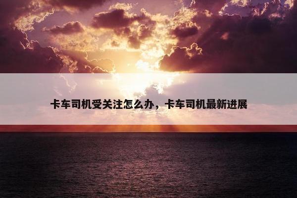 卡车司机受关注怎么办，卡车司机最新进展