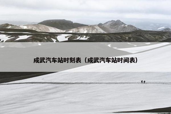 成武汽车站时刻表（成武汽车站时间表）