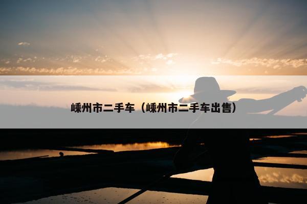嵊州市二手车（嵊州市二手车出售）
