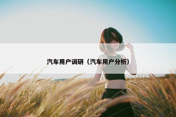 汽车用户调研（汽车用户分析）