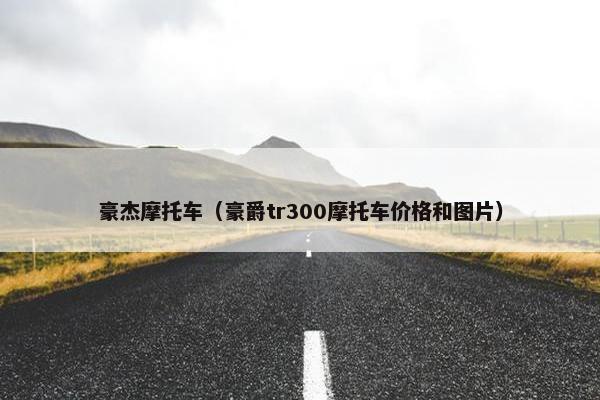 豪杰摩托车（豪爵tr300摩托车价格和图片）