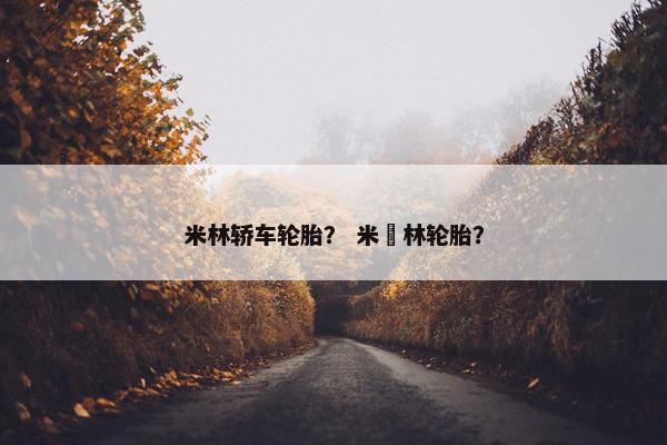 米林轿车轮胎？ 米粸林轮胎？