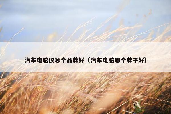 汽车电脑仪哪个品牌好（汽车电脑哪个牌子好）