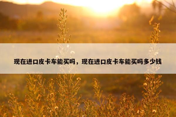 现在进口皮卡车能买吗，现在进口皮卡车能买吗多少钱