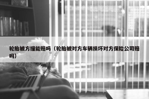 轮胎被方撞能赔吗（轮胎被对方车辆损坏对方保险公司赔吗）