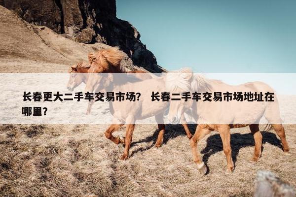 长春更大二手车交易市场？ 长春二手车交易市场地址在哪里？
