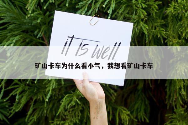 矿山卡车为什么看小气，我想看矿山卡车