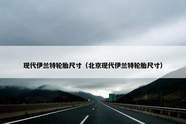 现代伊兰特轮胎尺寸（北京现代伊兰特轮胎尺寸）