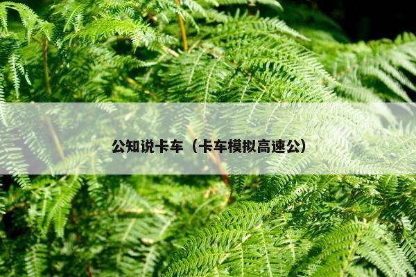 公知说卡车（卡车模拟高速公）