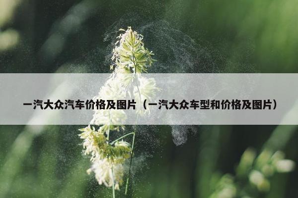 一汽大众汽车价格及图片（一汽大众车型和价格及图片）