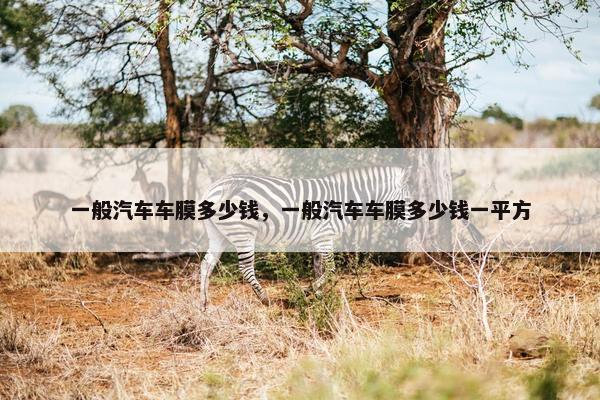 一般汽车车膜多少钱，一般汽车车膜多少钱一平方