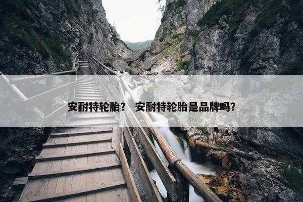 安耐特轮胎？ 安耐特轮胎是品牌吗？