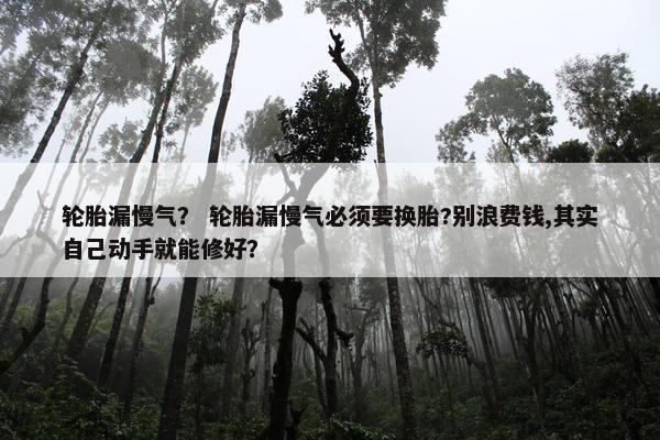 轮胎漏慢气？ 轮胎漏慢气必须要换胎?别浪费钱,其实自己动手就能修好？