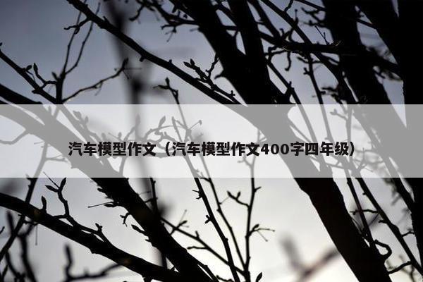 汽车模型作文（汽车模型作文400字四年级）