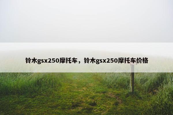 铃木gsx250摩托车，铃木gsx250摩托车价格