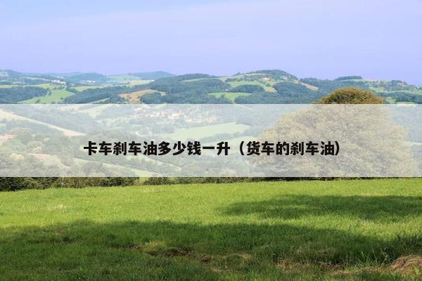 卡车刹车油多少钱一升（货车的刹车油）