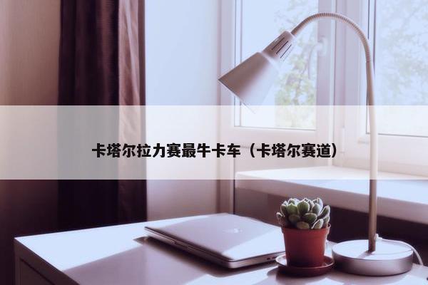 卡塔尔拉力赛最牛卡车（卡塔尔赛道）