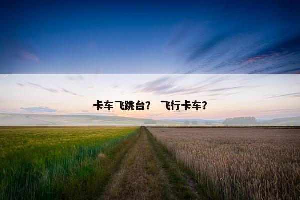 卡车飞跳台？ 飞行卡车？