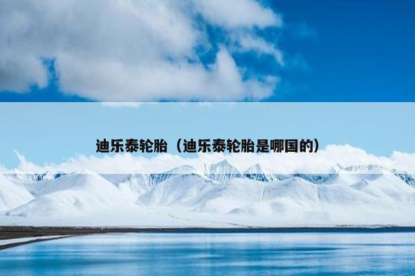 迪乐泰轮胎（迪乐泰轮胎是哪国的）