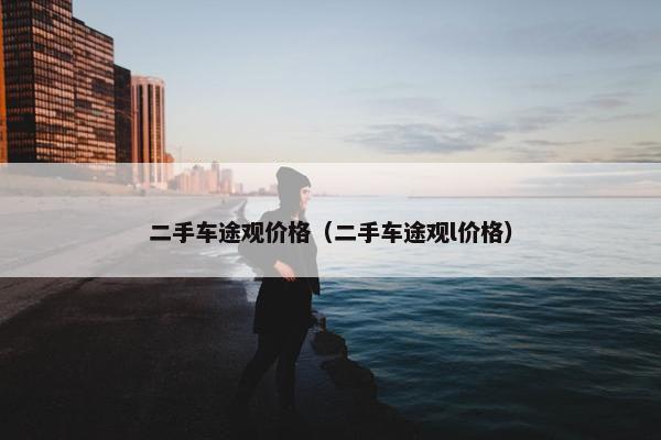二手车途观价格（二手车途观l价格）