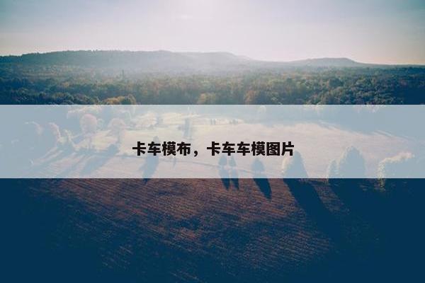 卡车模布，卡车车模图片