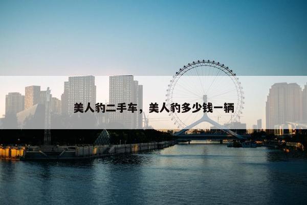 美人豹二手车，美人豹多少钱一辆