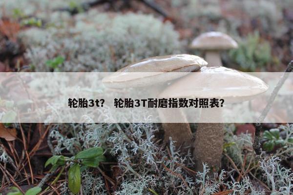 轮胎3t？ 轮胎3T耐磨指数对照表？