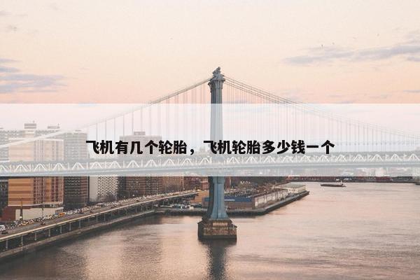 飞机有几个轮胎，飞机轮胎多少钱一个
