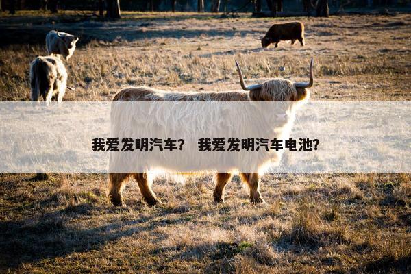 我爱发明汽车？ 我爱发明汽车电池？